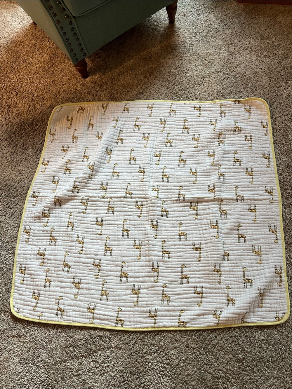 Aden + Ana is Muslin Quilted Blanket
